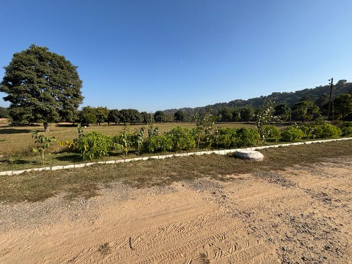 Phase - I, MDC Sector 6 Main Image 1