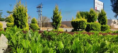 Value Port Plot View 2