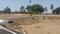 KTC Nagar Main Image 1