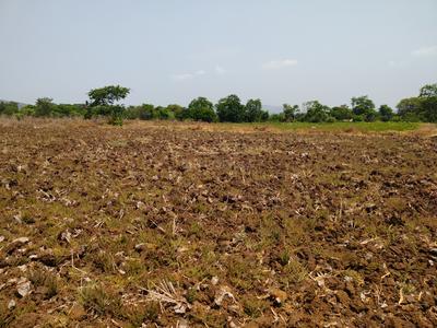 Image of 1089 Sq.ft Residential Plot / Land for sale in Hamarapur, Raigad for Rs. 285000