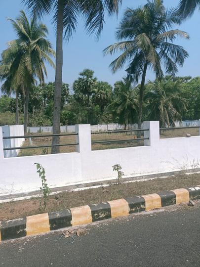 Prathishta palms Main Image 1