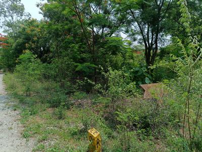 Image of 552 Sq.ft Residential Plot / Land for sale in Shamirpet, Hyderabad for Rs. 8800000
