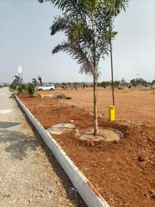 Residential Plot