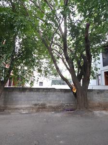 Residential Plot
