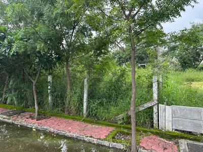Residential Plot