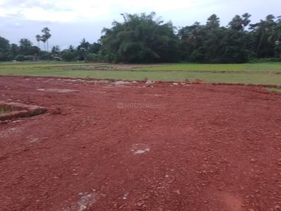 Image of 1000 Sq.ft Residential Plot / Land for sale in Infovalley, Tamando, Bhubaneswar for Rs. 4840000