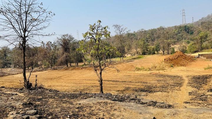 Mulashi Main Image 1