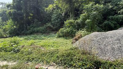 Image of 1650 Sq.ft Residential Plot / Land for sale in Raipur, Dehradun for Rs. 7320000