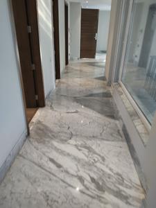 Image of 4300 Sq.ft 4 BHK Builder Floor for rent in New Friends Colony, New Delhi for Rs. 238000