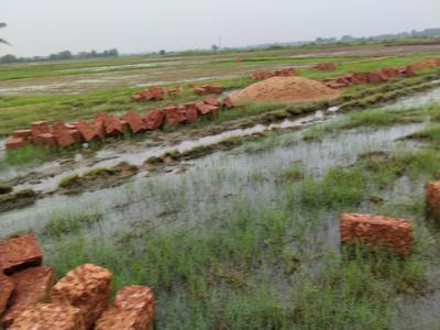 Image of 1500 Sq.ft Residential Plot / Land for sale in Benupur, Bhubaneswar for Rs. 3450000