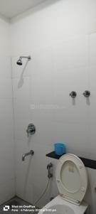 Bathroom Image of 550 Sq.ft 1 BHK Apartment / Flat for rent in Godrej Infinity, Mundhwa Pune for Rs. 26000