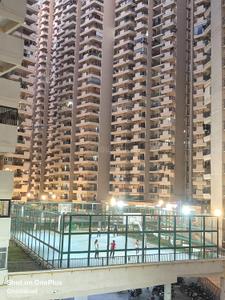 Image of 450 Sq.ft 1 BHK Apartment / Flat for rent in Gaurs 14th Avenue, Noida Extension, Greater Noida for Rs. 20000
