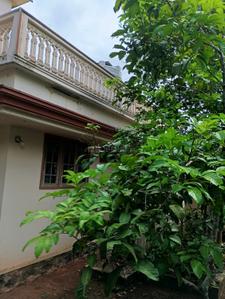 Image of 1500 Sq.ft 3 BHK Independent House for rent in Pukkattupady, Kochi for Rs. 19000
