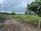 Earth farm Plot View 2