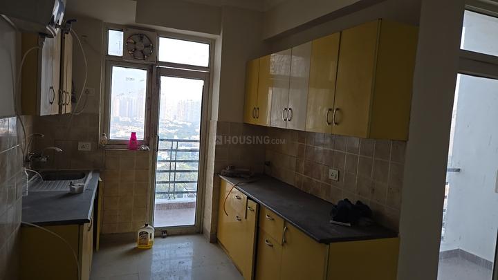 Gardenia Glory Main Image 1