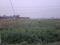 Sampatchak Main Image 1