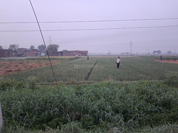 Sampatchak Main Image 1