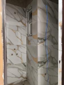 Common Bathroom Image of 1130 Sq.ft 2 BHK Apartment / Flat for sale in Skyline Pearl, Noida Extension Greater Noida for Rs. 5100000
