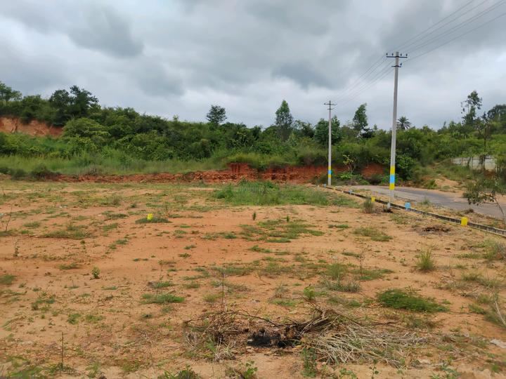 Kempa Dyapanahalli Main Image 1