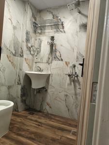 Bathroom Image of 350 Sq.ft 1 RK Apartment / Flat for rent in Sector 44 Noida for Rs. 17000