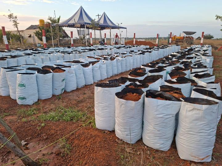 Asayaa Nagar More Images 1