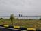 Pushpagiri Plot View 1