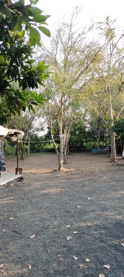 Raj Minal Residency Main Image 1