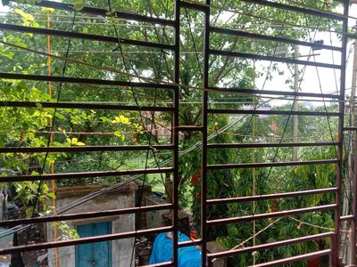 Bedroom One Image of 1200 Sq.ft 3 BHK Builder Floor for sale in South Dum Dum Kolkata for Rs. 5800000