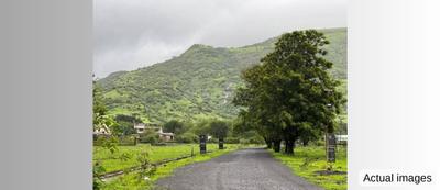Kamshet Plot View 1
