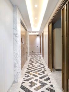 Hall Image of 3600 Sq.ft 4 BHK Builder Floor for sale in Panchsheel Park New Delhi for Rs. 187500000