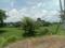 Residential plot Arapanch Main Image 1