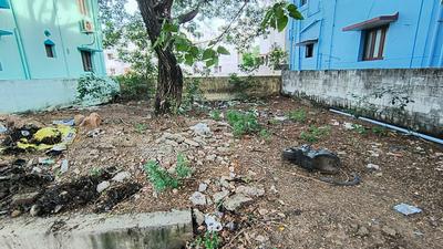 Residential Plot