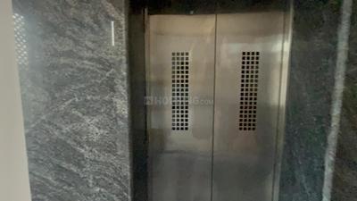 Image of 1900 Sq.ft 3 BHK Apartment / Flat for rent in Velachery, Chennai for Rs. 48000