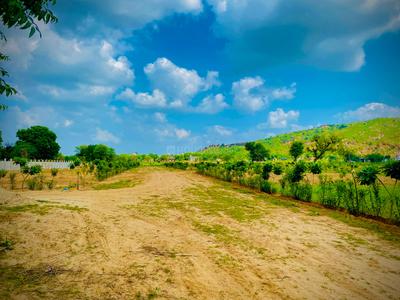 The Mundota Valley Plot View 2