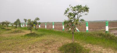 Image of 9600 Sq.ft Residential Plot / Land for sale in Walajabad, Chennai for Rs. 2400000