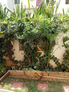 Image of 1056 Sq.ft 2 BHK Apartment / Flat for sale in Zonasha Vista by Zonasha Estates and Project, Harlur, Bengaluru for Rs. 12800000