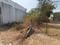 Nihalpur Mundi Main Image 1