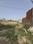 Radiala Main Image 1