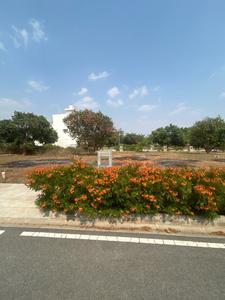 Prestige Park Drive Phase 3 Plot View 2