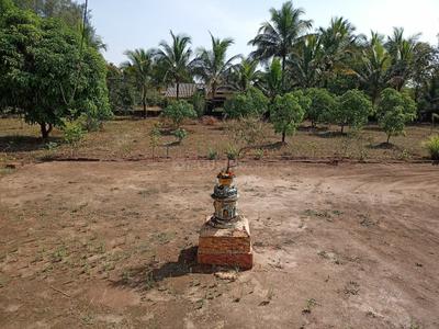 Image of 31581 Sq.ft 5 BHK Farm House for sale in Talere Naka, Sindhudurg for Rs. 20000000