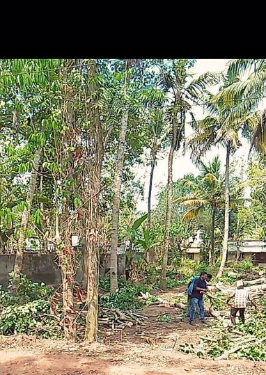 Mangad Main Image 1