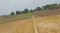 Kathal More Main Image 1