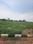 Hathin Main Image 1