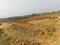 PVT PLOT Plot View 2