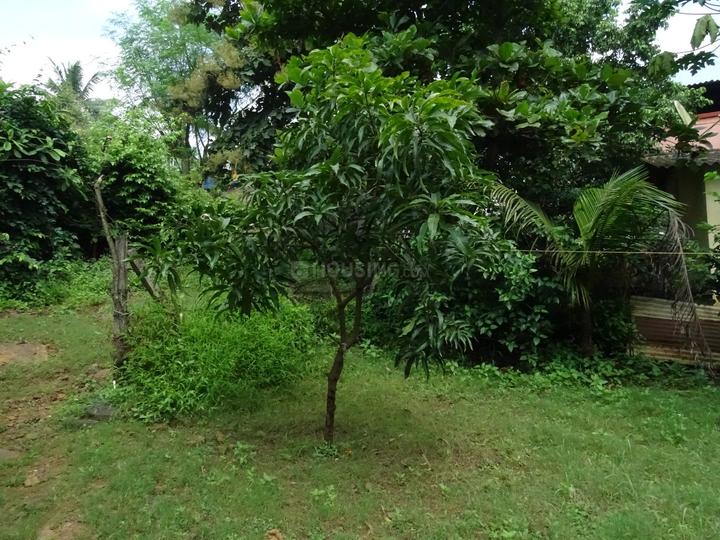 Shahapur Main Image 1