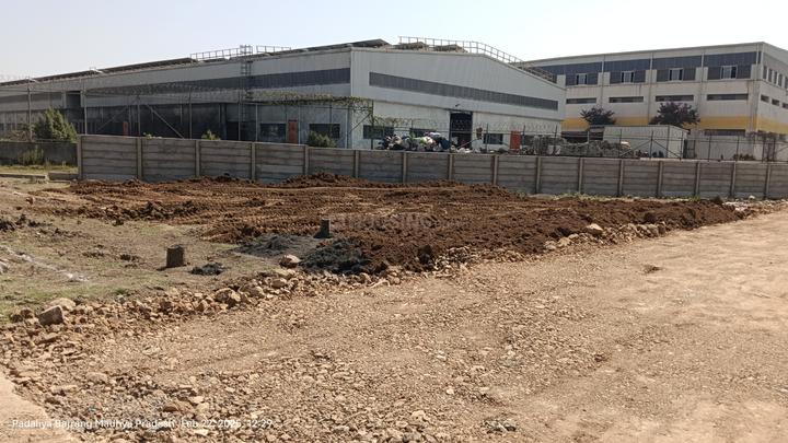 Graceland Highway Blossom Main Image 1