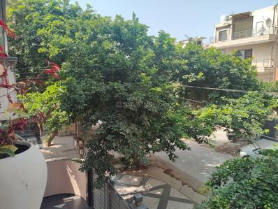 Balcony Image of 1580 Sq.ft 3.5 BHK Builder Floor for sale in Sector 46 Gurgaon for Rs. 26000000