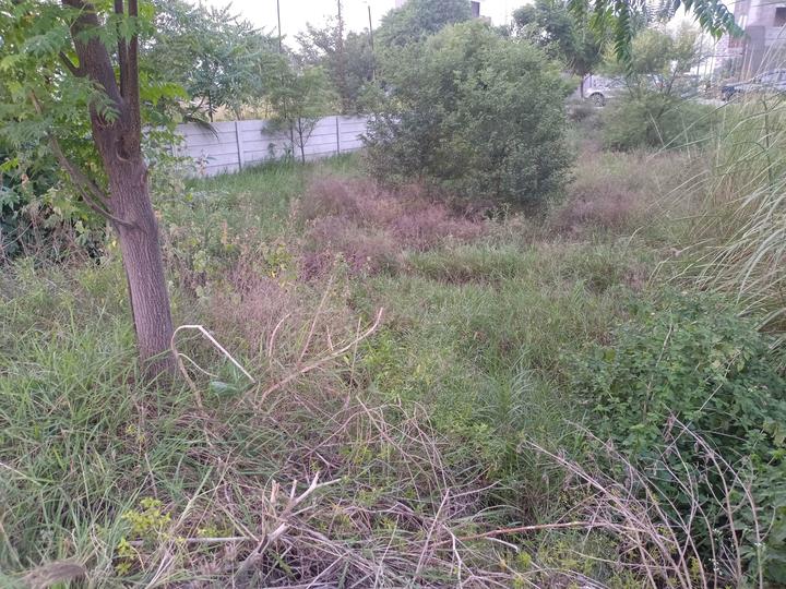 Betterchoice Vanya City Main Image 1