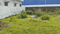 Daladili Main Image 1