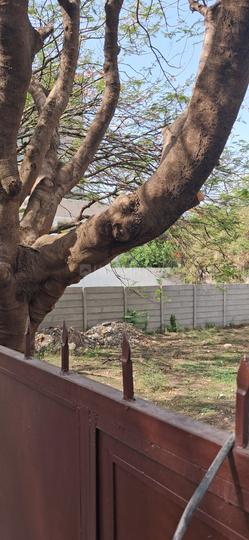 Sneh Park Main Image 1